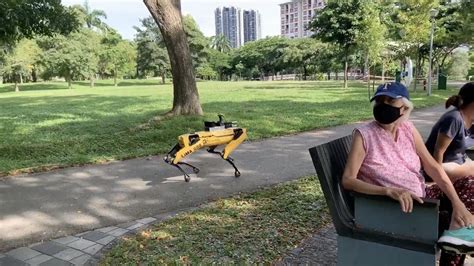 S­i­n­g­a­p­u­r­­d­a­n­ ­R­o­b­o­t­ ­K­ö­p­e­k­l­i­ ­S­o­s­y­a­l­ ­M­e­s­a­f­e­ ­U­y­a­r­ı­s­ı­ ­(­V­i­d­e­o­)­